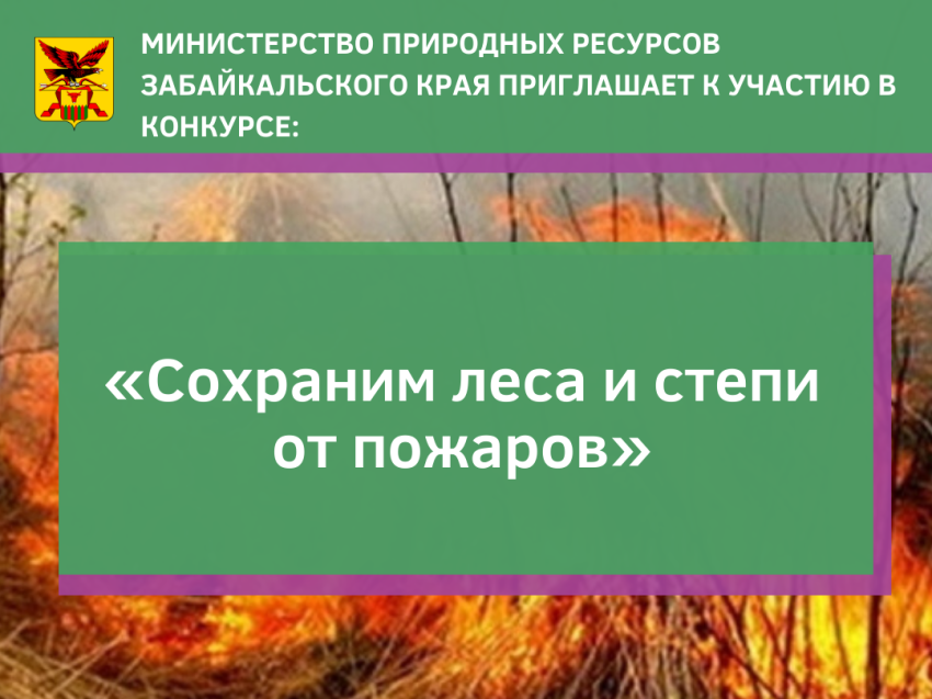Минприроды Забайкалья приглашает к участию в конкурсе «Сохраним леса и степи от пожаров»
